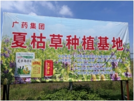 C:\Users\Administrator\Documents\WeChat Files\wxid_x303d53kuf0x21\FileStorage\Temp\52f6279b9ac02b10eab2387f2b53cd1.jpg