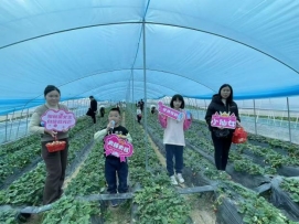 874648a64ca49254e6acaa374d5b331