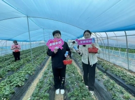 e44570122907c612cd871a2f6d2fc96