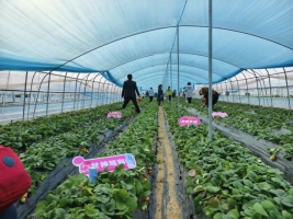 88585a23837901ebad8c8609f6c1786