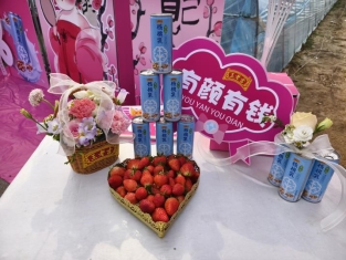 08d9a3c6e30b28f2292d3ea37145887